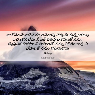 Picture 06 - యెషయా 43:24 TELIRV - నా కోసం సువాసన గల - Bible Verse Picture