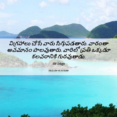 Picture 06 - యెషయా 45:16 TELIRV - విగ్రహాలు చేసే - Bible Verse Picture