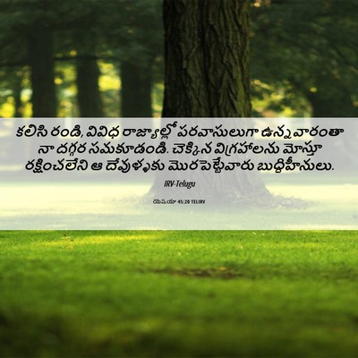 Picture 06 - యెషయా 45:20 TELIRV - కలిసి రండి, వివిధ - Bible Verse Picture