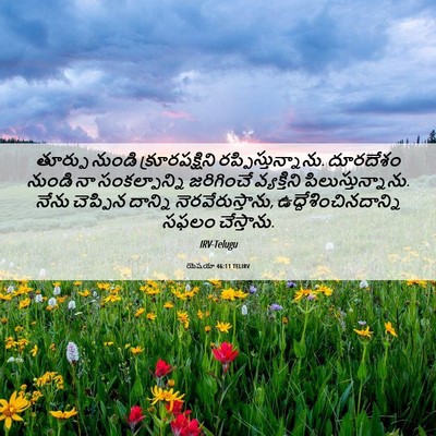 Picture 06 - యెషయా 46:11 TELIRV - తూర్పు నుండి - Bible Verse Picture