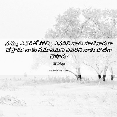 Picture 06 - యెషయా 46:5 TELIRV - నన్ను ఎవరితో - Bible Verse Picture