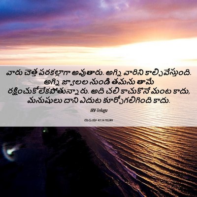 Picture 06 - యెషయా 47:14 TELIRV - వారు చెత్త - Bible Verse Picture
