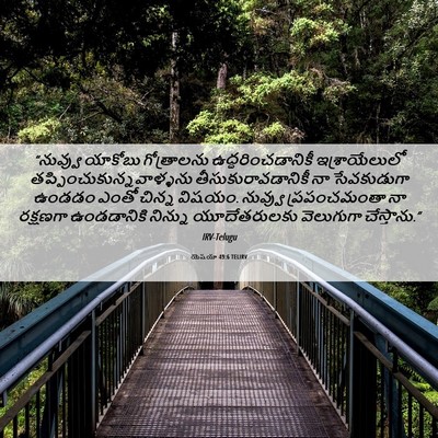 Picture 06 - యెషయా 49:6 TELIRV - “నువ్వు యాకోబు - Bible Verse Picture