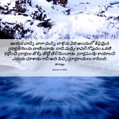 Picture 06 - యెషయా 5:2 TELIRV - ఆయన దాన్ని బాగా - Bible Verse Picture