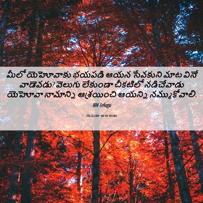 Picture 06 - యెషయా 50:10 TELIRV - మీలో యెహోవాకు - Bible Verse Picture