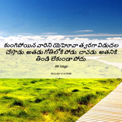 Picture 06 - యెషయా 51:14 TELIRV - కుంగిపోయిన వారిని - Bible Verse Picture