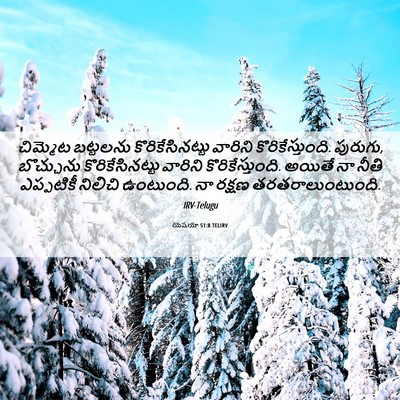Picture 06 - యెషయా 51:8 TELIRV - చిమ్మెట బట్టలను - Bible Verse Picture