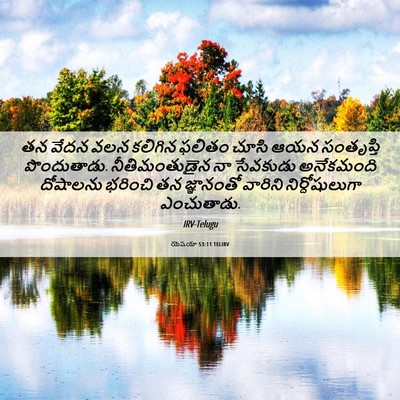 Picture 06 - యెషయా 53:11 TELIRV - తన వేదన వలన కలిగిన - Bible Verse Picture