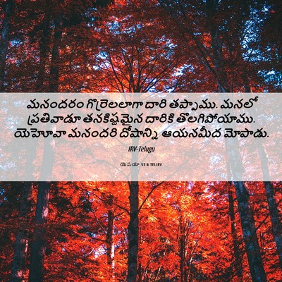 Picture 06 - యెషయా 53:6 TELIRV - మనందరం - Bible Verse Picture