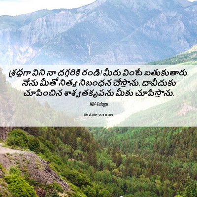 Picture 06 - యెషయా 55:3 TELIRV - శ్రద్ధగా విని నా - Bible Verse Picture