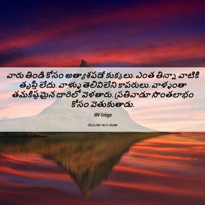 Picture 06 - యెషయా 56:11 TELIRV - వారు తిండి కోసం - Bible Verse Picture