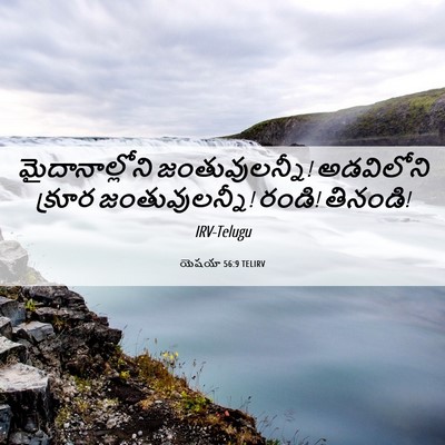 Picture 06 - యెషయా 56:9 TELIRV - మైదానాల్లోని - Bible Verse Picture