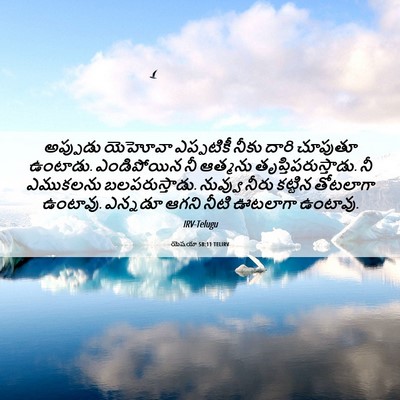 Picture 06 - యెషయా 58:11 TELIRV - అప్పుడు యెహోవా - Bible Verse Picture