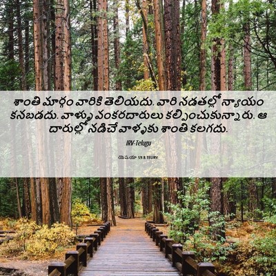 Picture 06 - యెషయా 59:8 TELIRV - శాంతి మార్గం - Bible Verse Picture