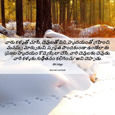 Picture 06 - యెషయా 6:10 TELIRV - వారు కళ్ళతో చూసి, - Bible Verse Picture