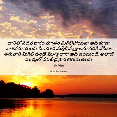 Picture 06 - యెషయా 6:13 TELIRV - దానిలో పదవ భాగం - Bible Verse Picture