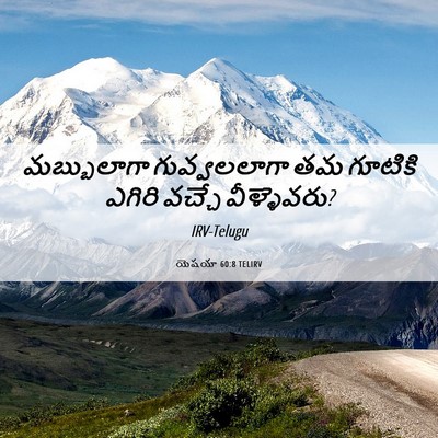 Picture 06 - యెషయా 60:8 TELIRV - మబ్బులాగా - Bible Verse Picture
