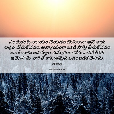 Picture 06 - యెషయా 61:8 TELIRV - ఎందుకంటే న్యాయం - Bible Verse Picture