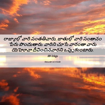 Picture 06 - యెషయా 61:9 TELIRV - రాజ్యాల్లో వారి - Bible Verse Picture