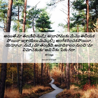 Picture 06 - యెషయా 63:16 TELIRV - అయితే మా తండ్రివి - Bible Verse Picture