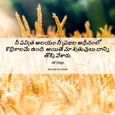Picture 06 - యెషయా 63:18 TELIRV - నీ పవిత్ర ఆలయం నీ - Bible Verse Picture
