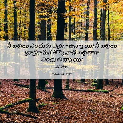 Picture 06 - యెషయా 63:2 TELIRV - నీ బట్టలు ఎందుకు - Bible Verse Picture