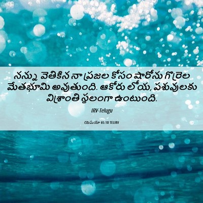 Picture 06 - యెషయా 65:10 TELIRV - నన్ను వెతికిన నా - Bible Verse Picture