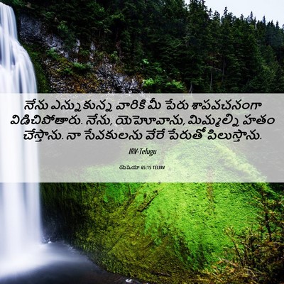 Picture 06 - యెషయా 65:15 TELIRV - నేను ఎన్నుకున్న - Bible Verse Picture