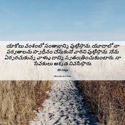 Picture 06 - యెషయా 65:9 TELIRV - యాకోబు వంశంలో - Bible Verse Picture