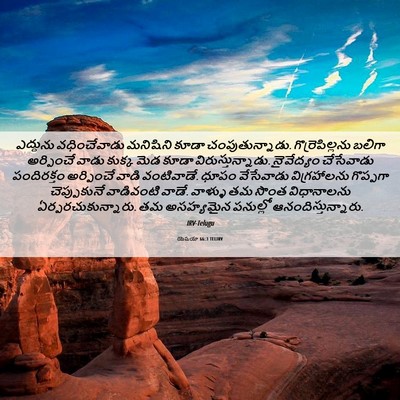 Picture 06 - యెషయా 66:3 TELIRV - ఎద్దును - Bible Verse Picture