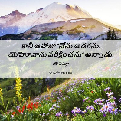 Picture 06 - యెషయా 7:12 TELIRV - కానీ ఆహాజు “నేను - Bible Verse Picture