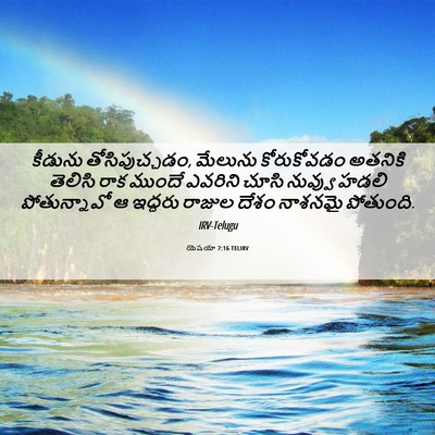 Picture 06 - యెషయా 7:16 TELIRV - కీడును - Bible Verse Picture