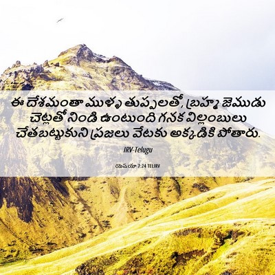 Picture 06 - యెషయా 7:24 TELIRV - ఈ దేశమంతా ముళ్ళ - Bible Verse Picture