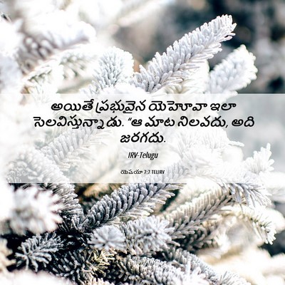 Picture 06 - యెషయా 7:7 TELIRV - అయితే ప్రభువైన - Bible Verse Picture