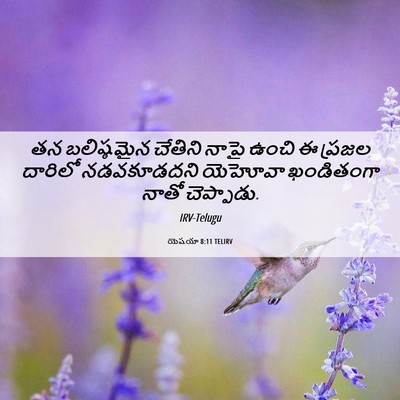 Picture 06 - యెషయా 8:11 TELIRV - తన బలిష్ఠమైన - Bible Verse Picture