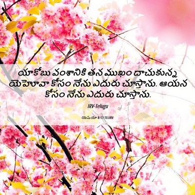Picture 06 - యెషయా 8:17 TELIRV - యాకోబు వంశానికి - Bible Verse Picture