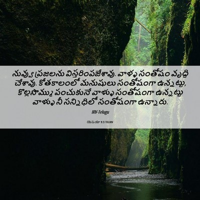 Picture 06 - యెషయా 9:3 TELIRV - నువ్వు ప్రజలను - Bible Verse Picture