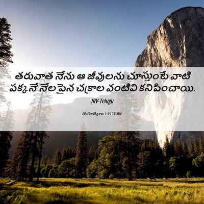 Picture 06 - యెహెజ్కేలు 1:15 TELIRV - తరువాత నేను ఆ - Bible Verse Picture