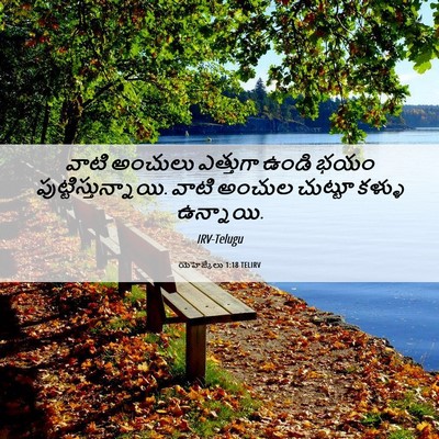 Picture 06 - యెహెజ్కేలు 1:18 TELIRV - వాటి అంచులు - Bible Verse Picture