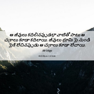 Picture 06 - యెహెజ్కేలు 1:19 TELIRV - ఆ జీవులు - Bible Verse Picture