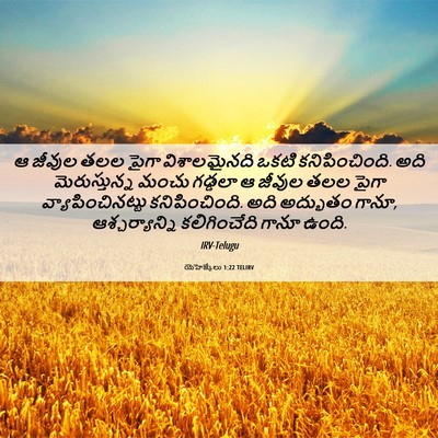 Picture 06 - యెహెజ్కేలు 1:22 TELIRV - ఆ జీవుల తలల పైగా - Bible Verse Picture