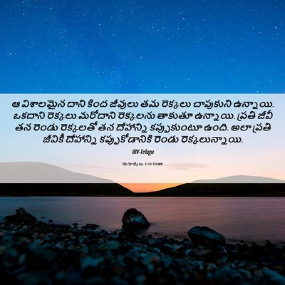 Picture 06 - యెహెజ్కేలు 1:23 TELIRV - ఆ విశాలమైన దాని - Bible Verse Picture