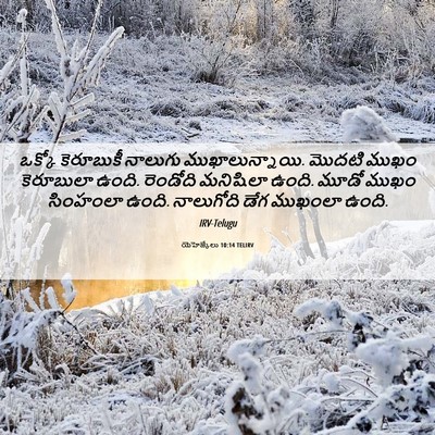 Picture 06 - యెహెజ్కేలు 10:14 TELIRV - ఒక్కో కెరూబుకీ - Bible Verse Picture