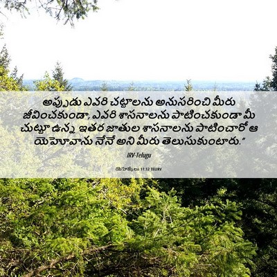 Picture 06 - యెహెజ్కేలు 11:12 TELIRV - అప్పుడు ఎవరి - Bible Verse Picture