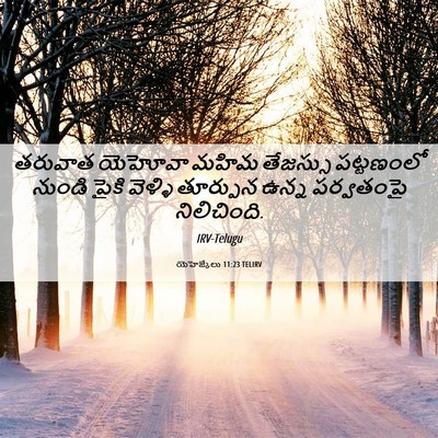 Picture 06 - యెహెజ్కేలు 11:23 TELIRV - తరువాత యెహోవా - Bible Verse Picture