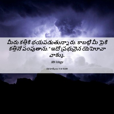 Picture 06 - యెహెజ్కేలు 11:8 TELIRV - మీరు కత్తికి - Bible Verse Picture