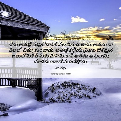 Picture 06 - యెహెజ్కేలు 12:13 TELIRV - నేను అతణ్ణి - Bible Verse Picture