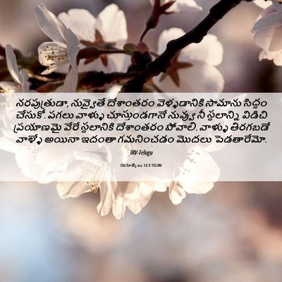 Picture 06 - యెహెజ్కేలు 12:3 TELIRV - నరపుత్రుడా, - Bible Verse Picture
