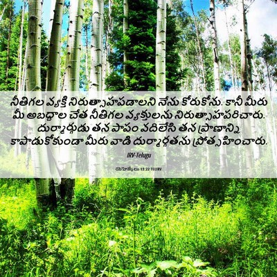 Picture 06 - యెహెజ్కేలు 13:22 TELIRV - నీతిగల వ్యక్తి - Bible Verse Picture