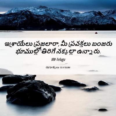 Picture 06 - యెహెజ్కేలు 13:4 TELIRV - ఇశ్రాయేలు - Bible Verse Picture
